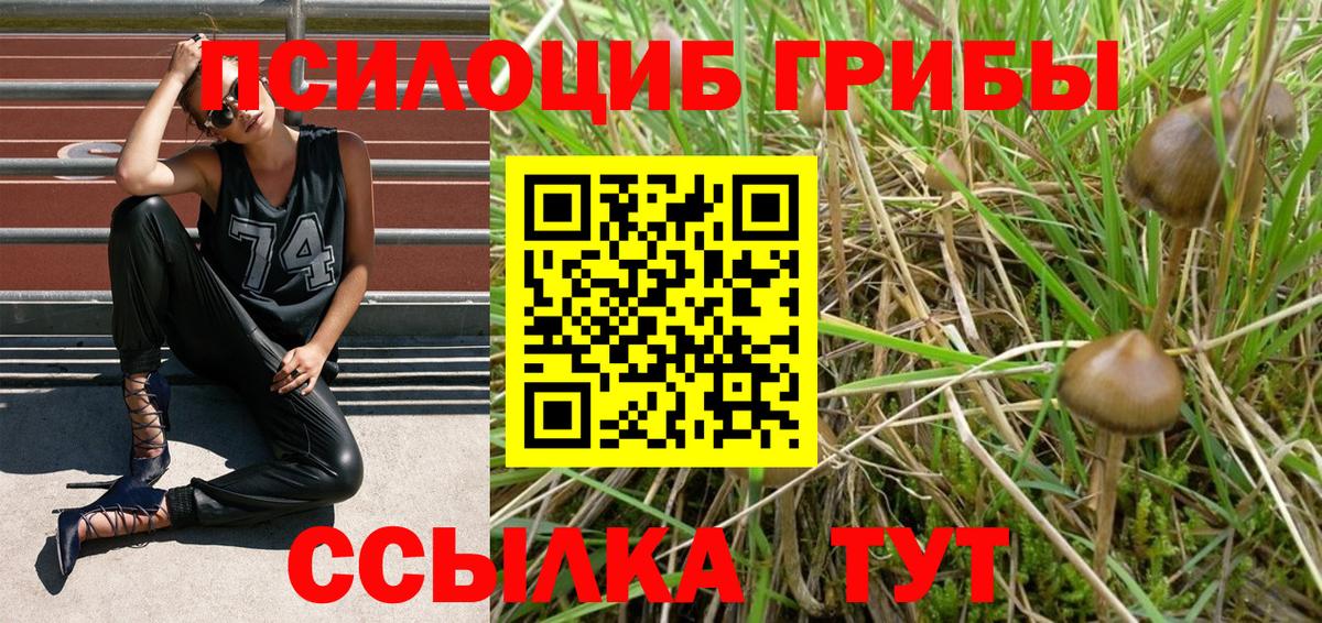 Галлюциногенные грибы прущие грибы  Вход с VPN  Зеленодольск 